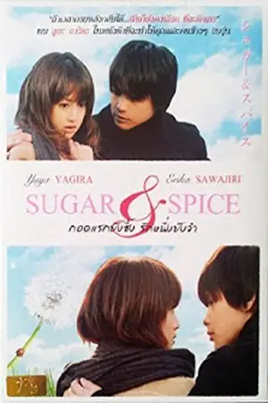 Sugar-&-Spice-(2006)-กอดแรกยังซึ้งรักหนึ่งยังจำ-300x450